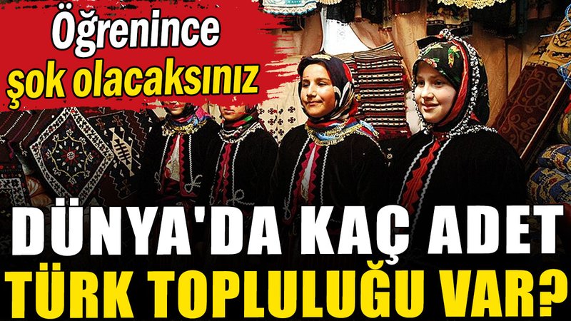 Dünya'da kaç adet Türk topluluğu var?