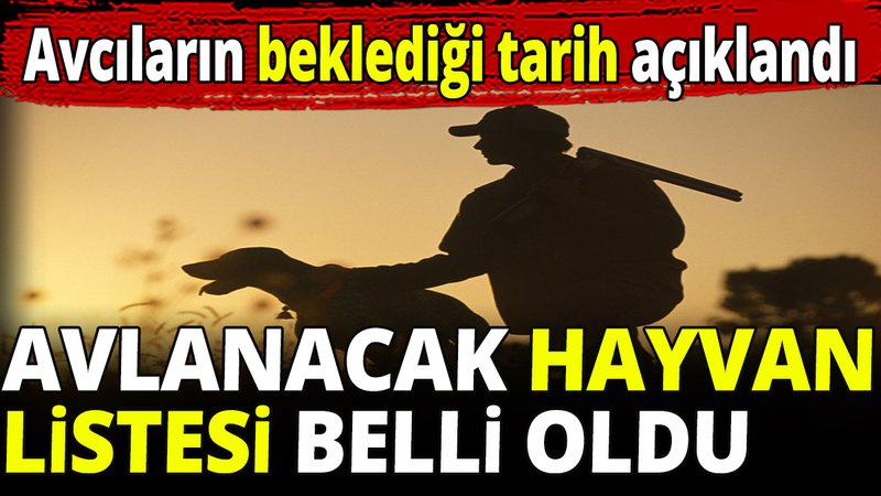 Avlanacak hayvan listesi belli oldu! Avcıların beklediği tarih açıklandı