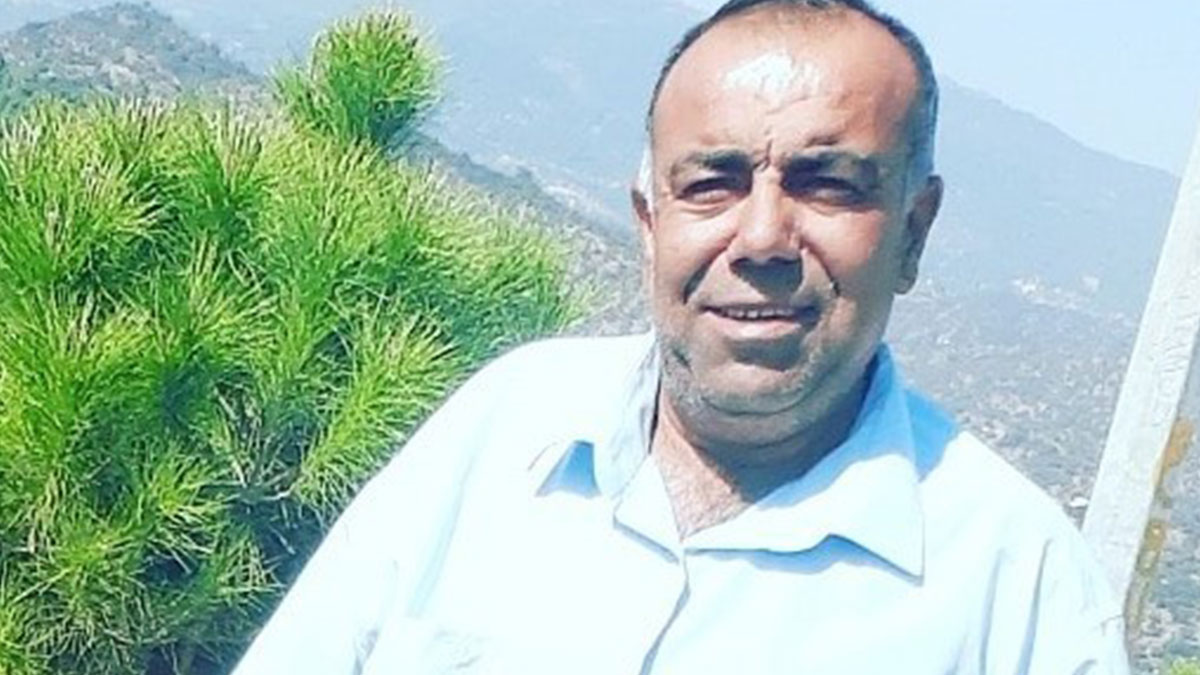 Aydın'da arının soktuğu adam hayatını kaybetti