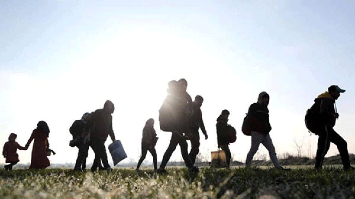 Edirne'de 15 kaçak göçmen yakalandı