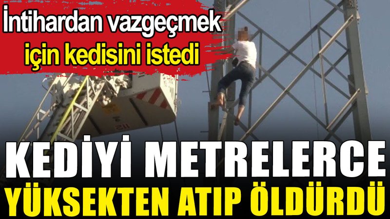 İntihardan vazgeçmek için kedisini istedi: Kediyi metrelerce yüksekten atıp öldürdü