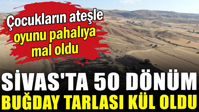 Sivas'ta 50 dönüm buğday tarlası kül oldu