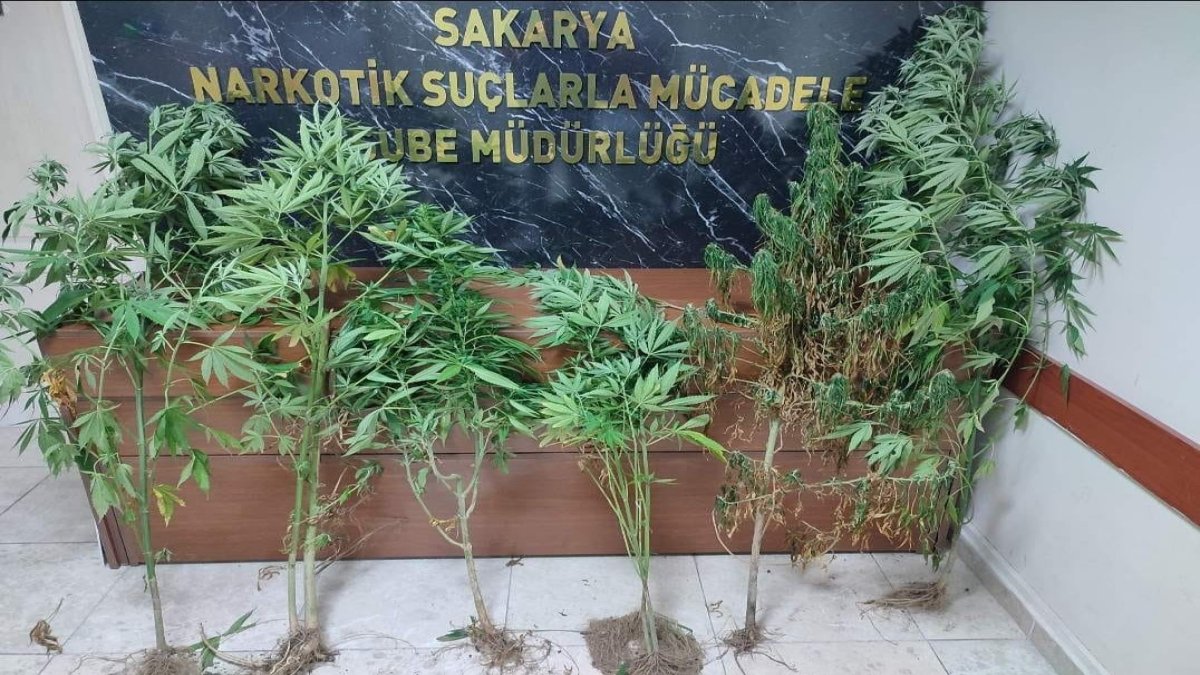 Sakarya'da narkotik operasyonu