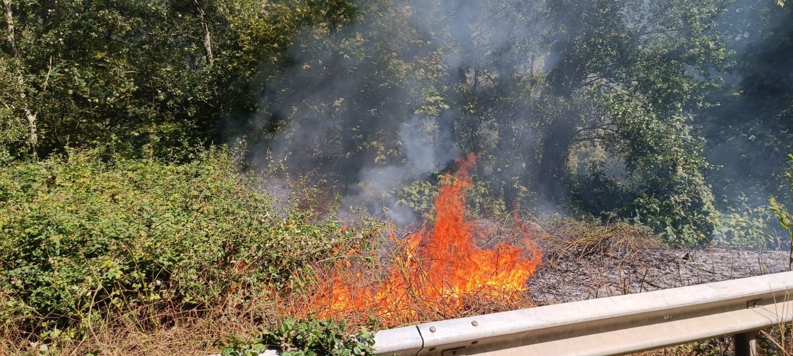 Karabük'te ormanlık alanda yangın