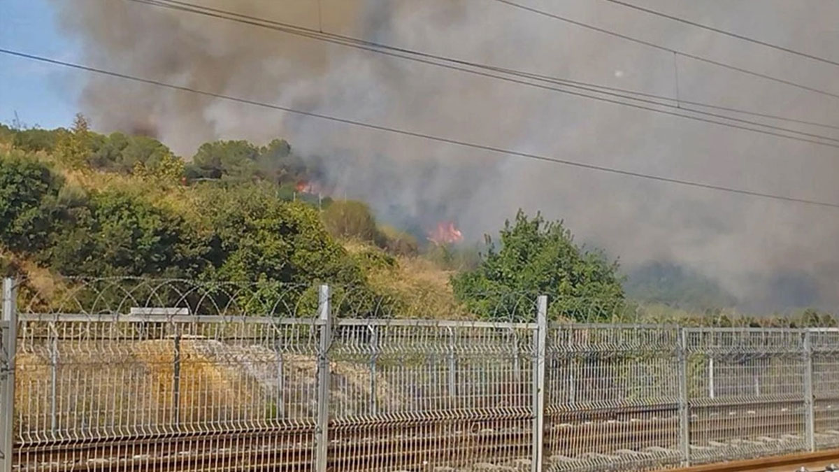 Kocaeli'de TÜBİTAK yerleşkesinde yangın