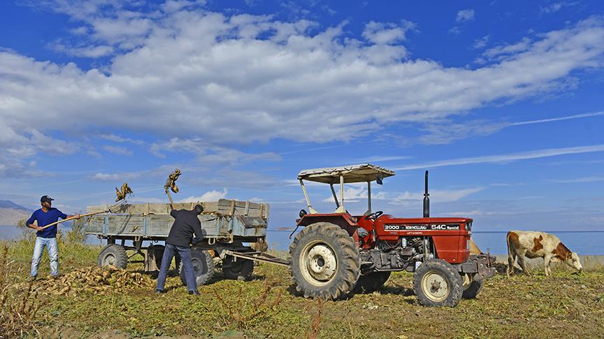 TAGEM'den tarımsal Ar-Ge projelerine destek