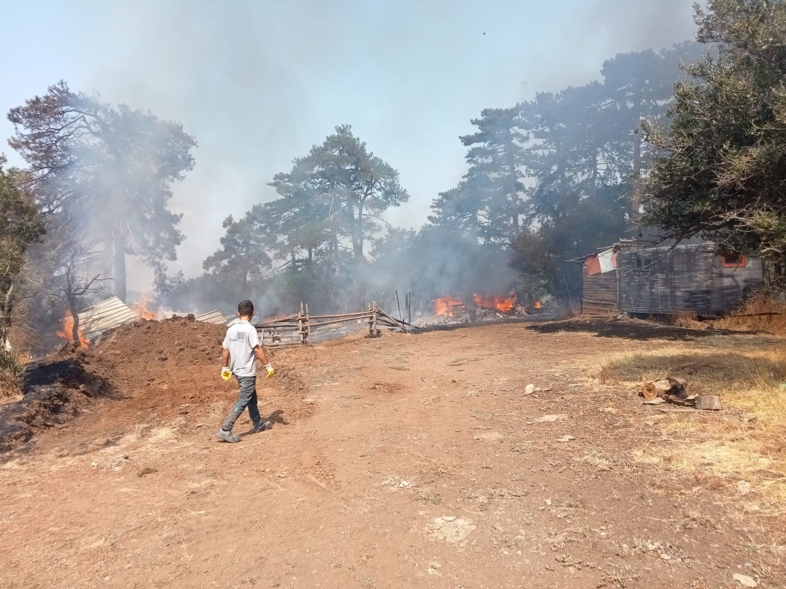 Bursa'dan yangın: Hayvanlar telef olmaktan son anda kurtarıldı