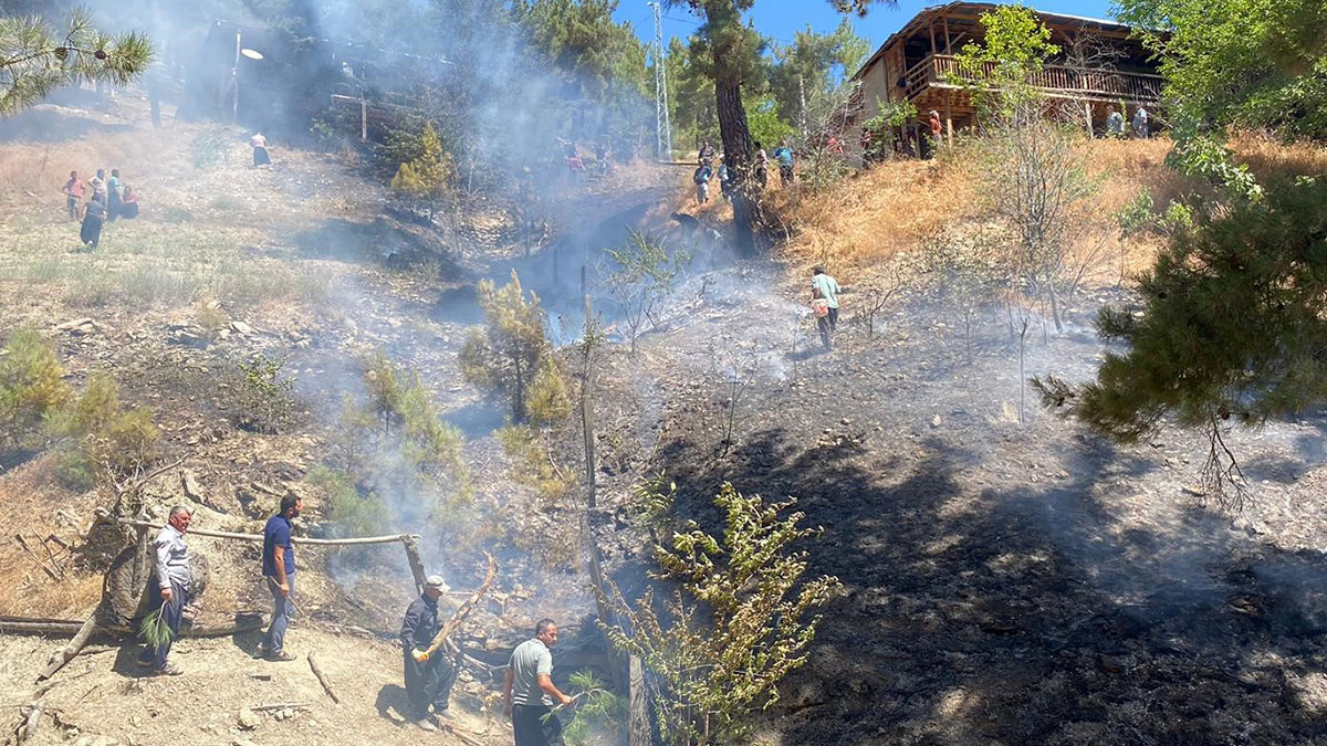 Adana'da orman yangını: Facia kıl payı atlatıldı