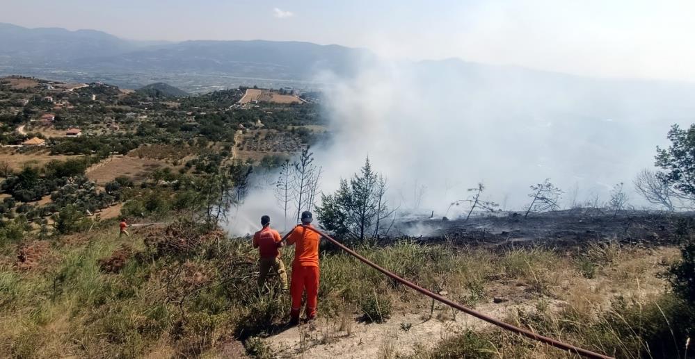 Sakarya'da 8 dönüm arazi küle oldu