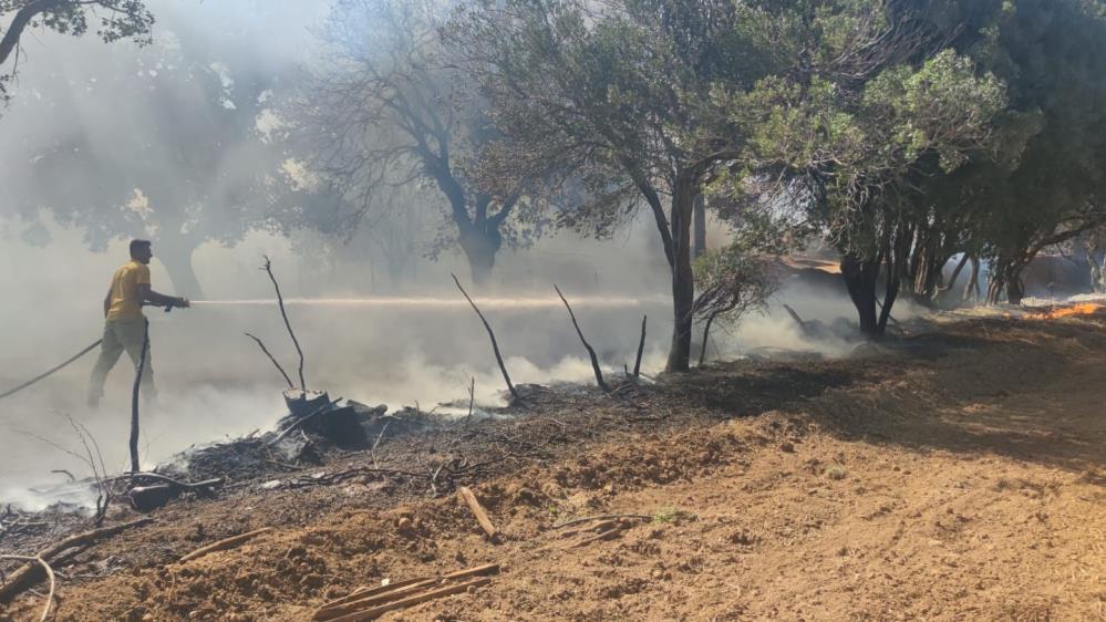 Ayvacık'ta çıkan yangın kontrol altına alındı