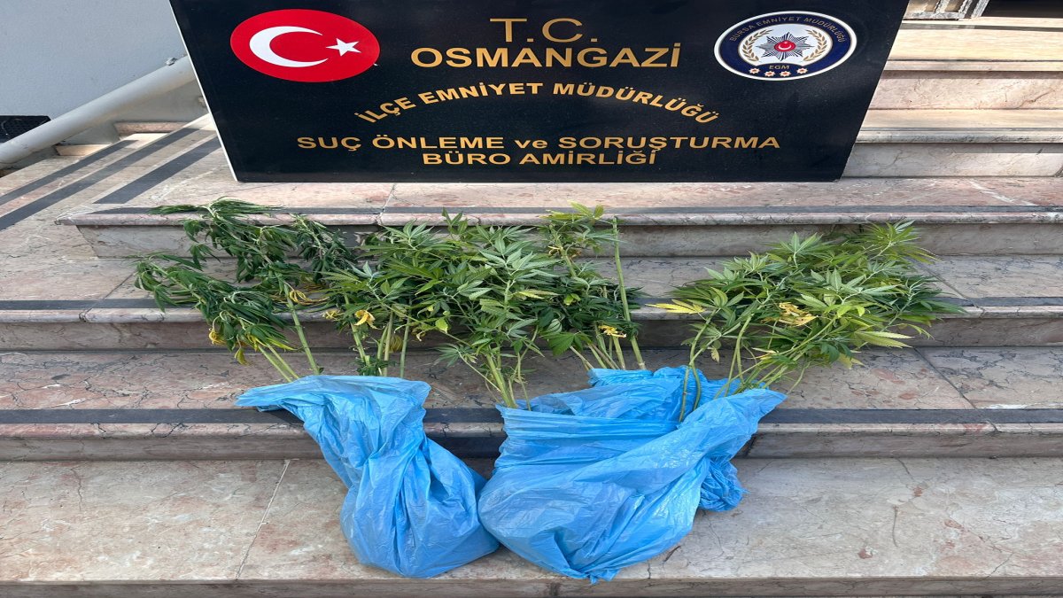 Bursa'da peş peşe uyuşturucu operasyonları