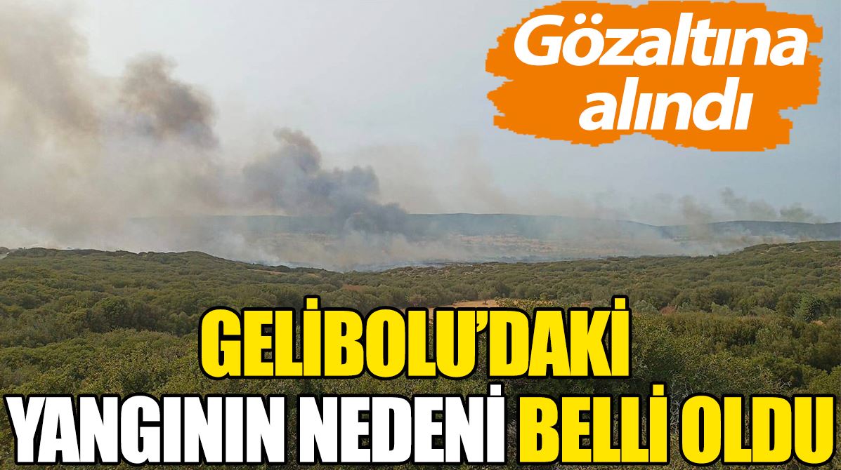 Gelibolu'daki yangının nedeni belli oldu