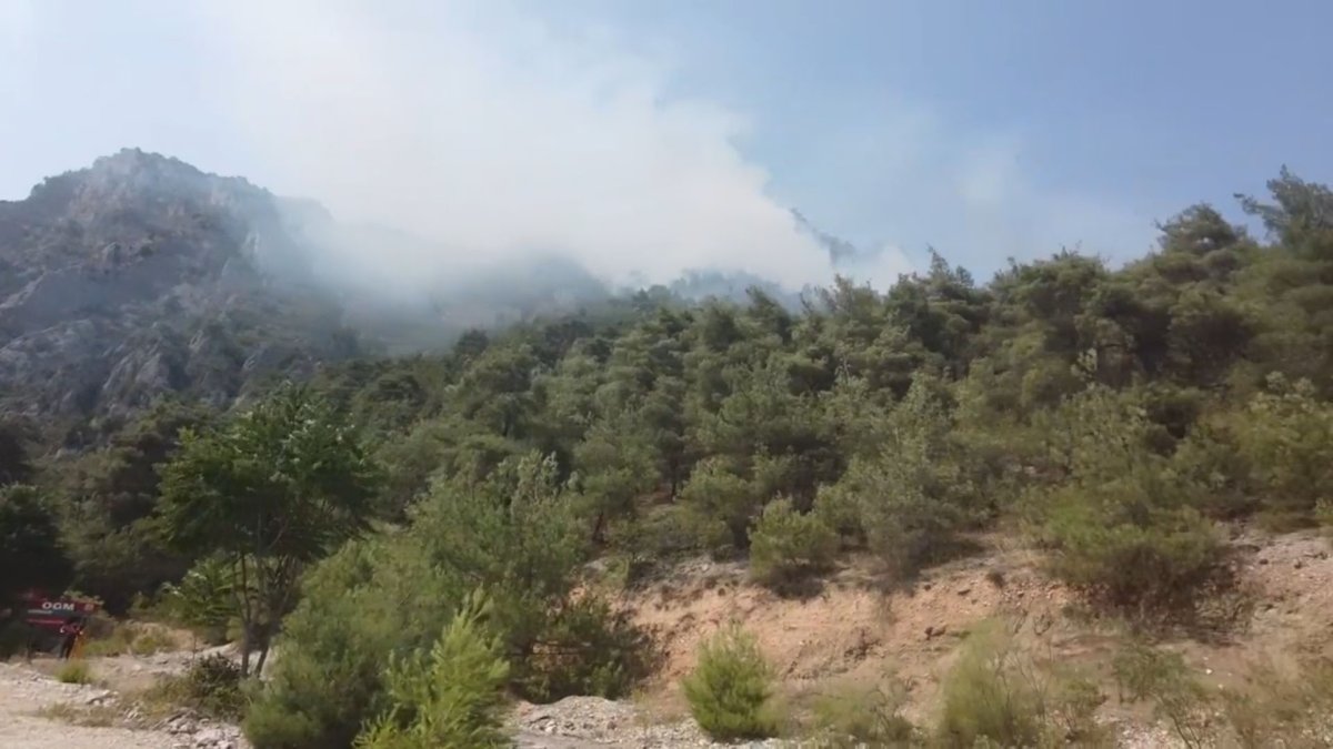Bilecik'te yüksek gerilim hattının kopan teli orman yangınına neden oldu