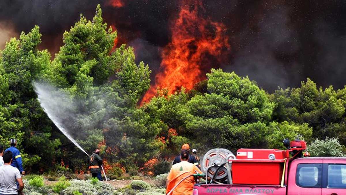 Yunanistan'da yangınlar 8. gününde