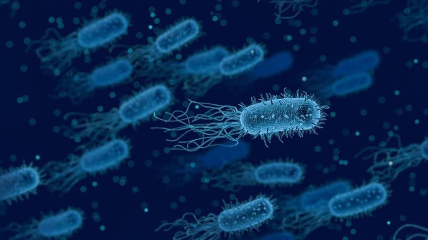 Bakteri nedeniyle 11 kişi hayatını kaybetti