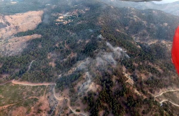 Muğla'da 3 hektar orman kül oldu