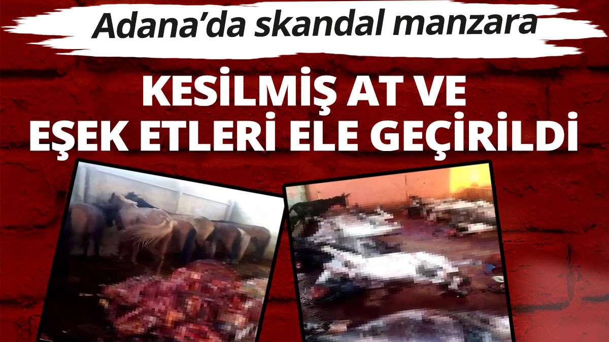 Adana skandal manzara; Kesilmiş at ve eşek etleri ele geçirildi