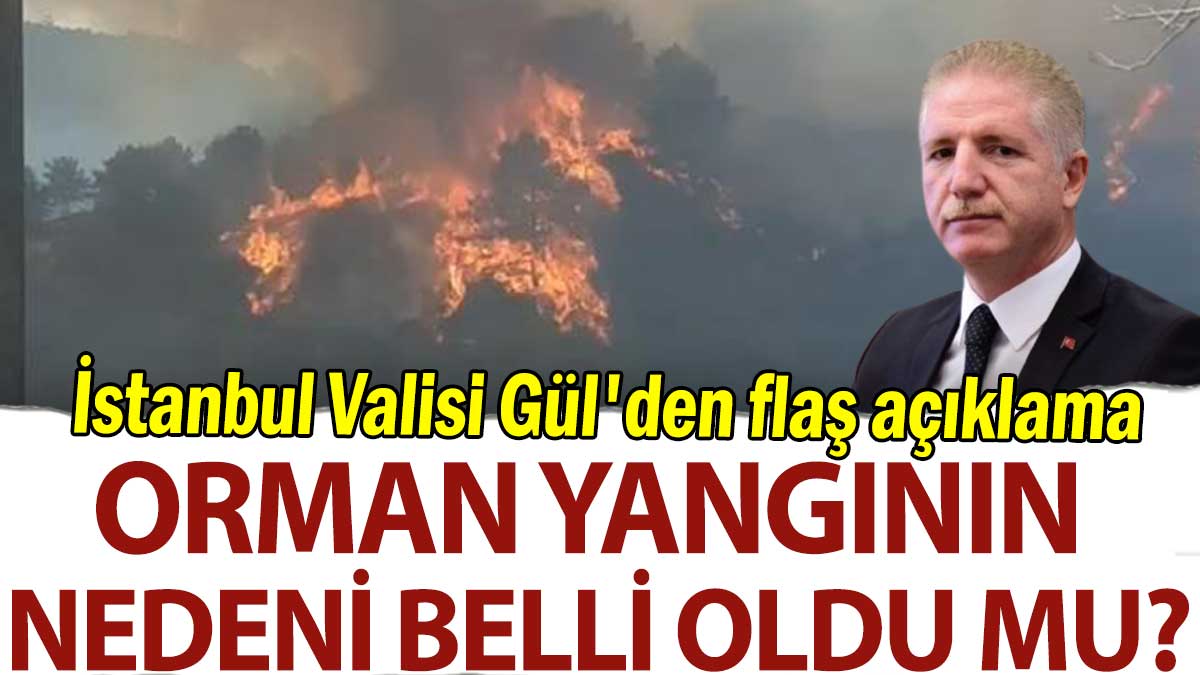 İstanbul Valisi Gül'den flaş açıklama: Orman yangının nedeni belli oldu mu?