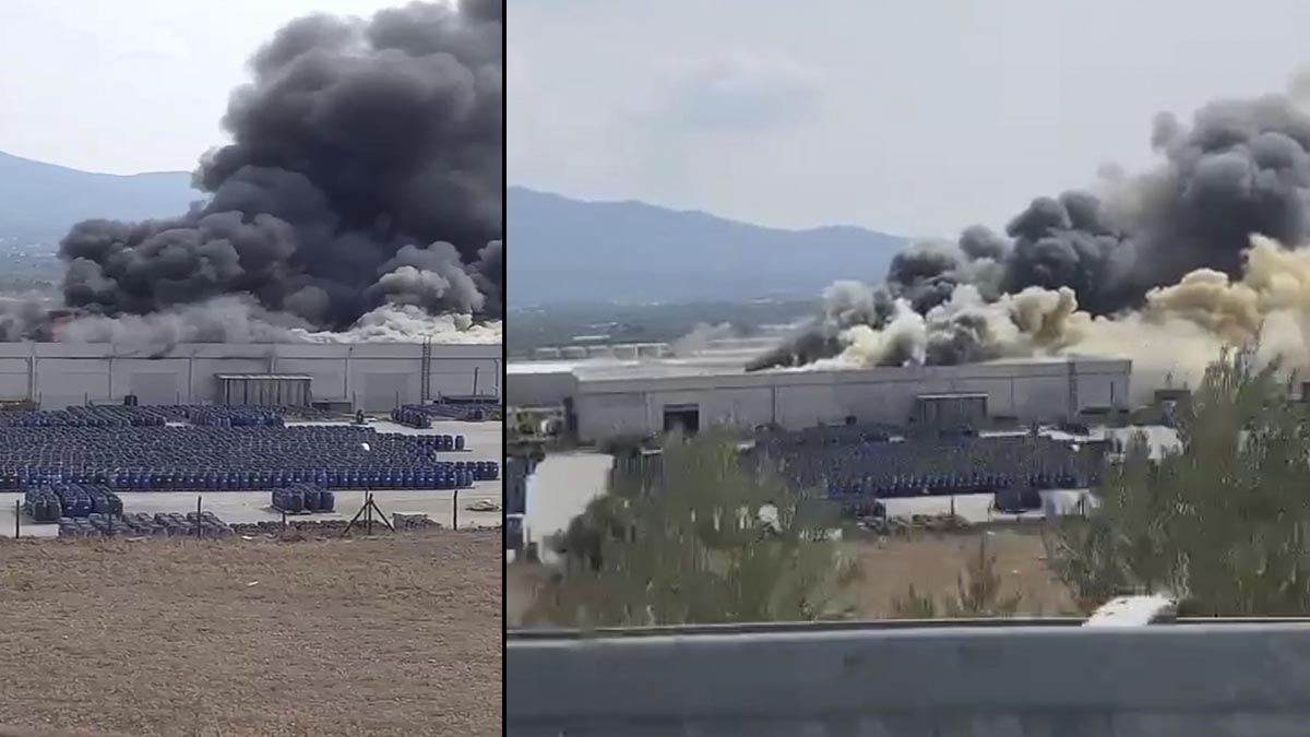 İzmir’de palet fabrikasında yangın