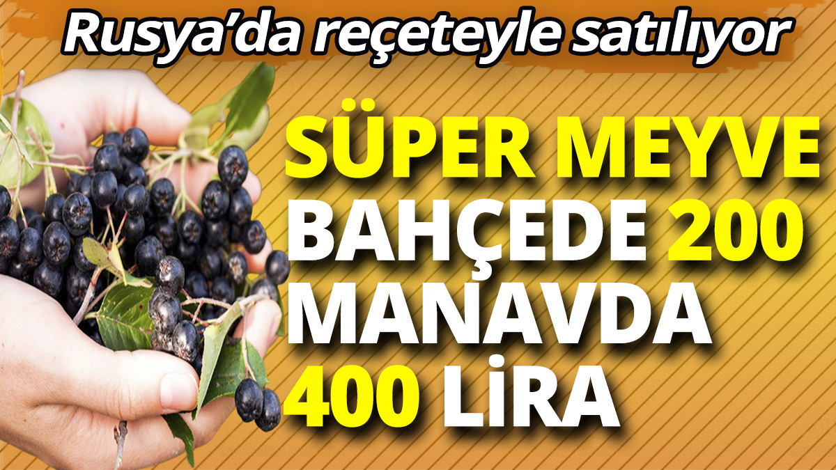 Süper meyve bahçede 200, manavda 400 lira! Rusya’da reçeteyle satılıyor