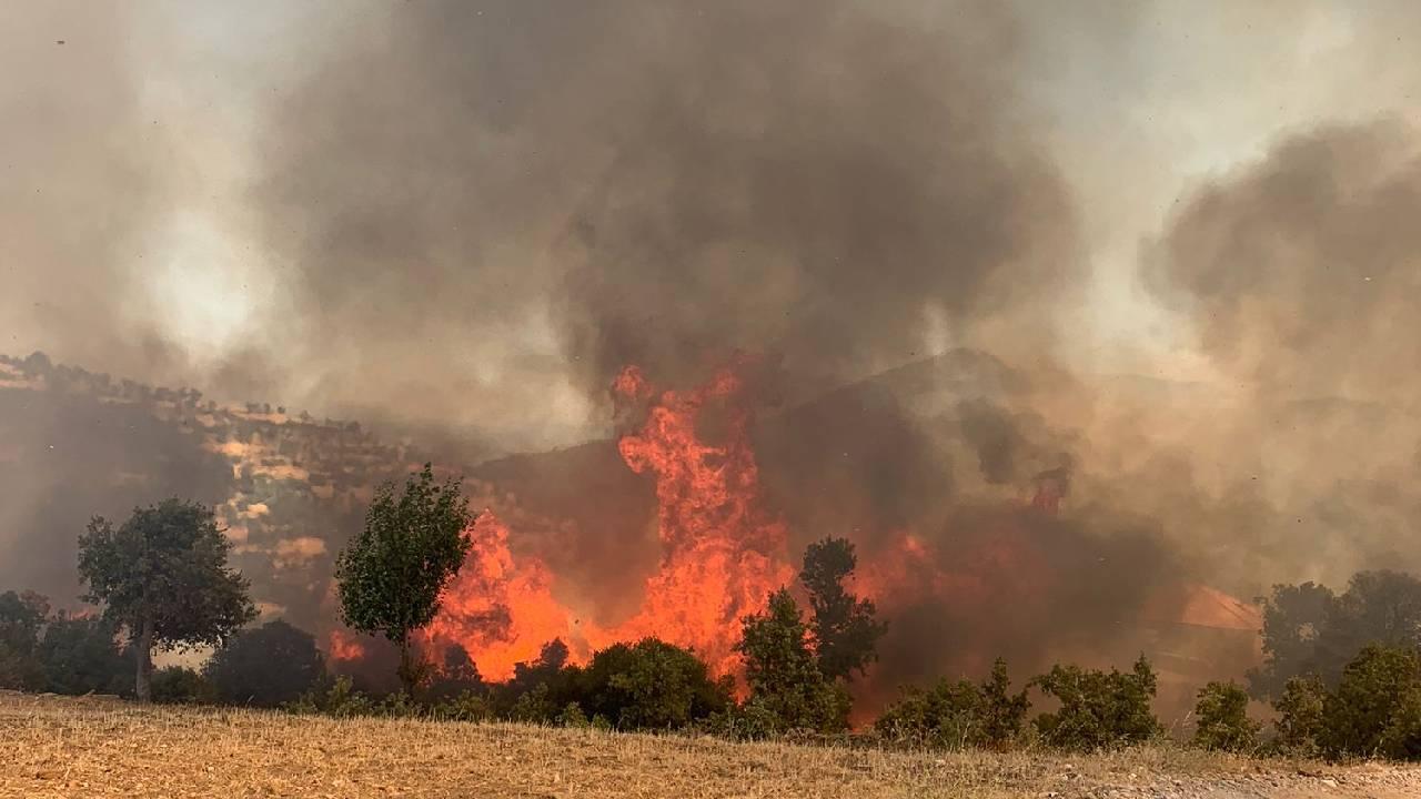 Muğla'da 1 günde düşen yıldırımlar nedeniyle 36 yangın çıktı