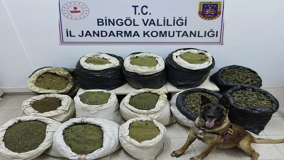 Bingöl'de 194 kilo esrar ele geçirildi