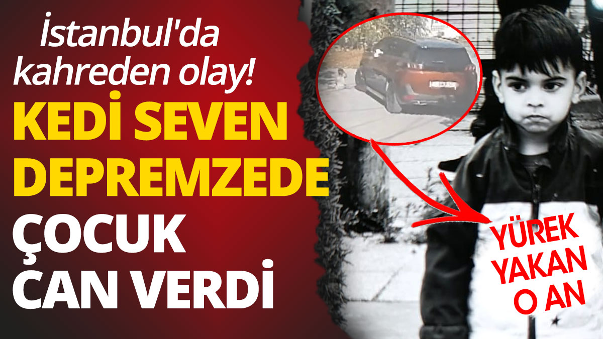 İstanbul'da kahreden olay: Kedi seven depremzede çocuk can verdi