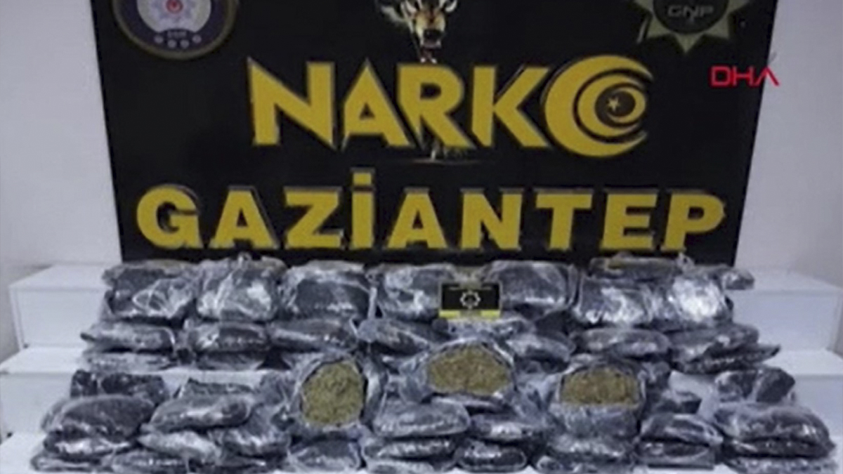 Gaziantep'te 51 kilogram skunk ele geçirildi