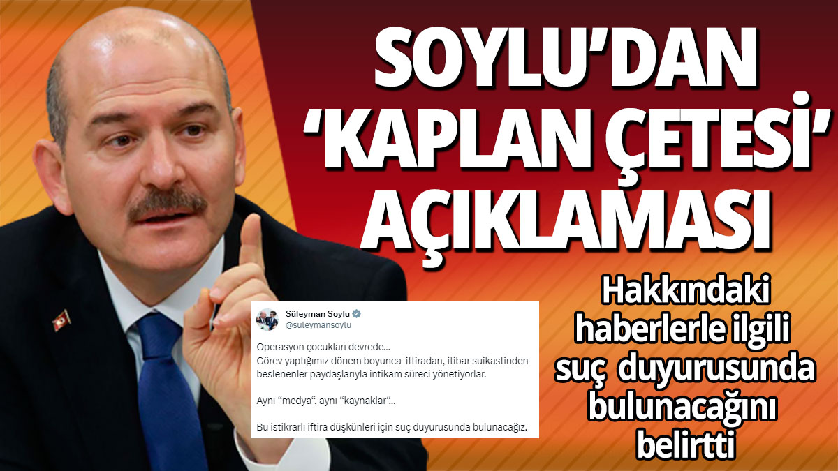 Süleyman Soylu'dan 'gözaltı' açıklaması