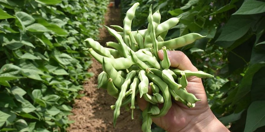 'Pazaryeri boncuğu' 360 bin liraya satıldı