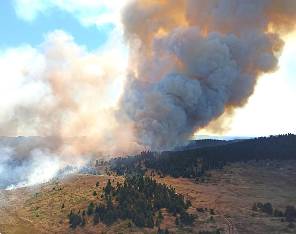 Bolu'daki orman yangınına müdahale sürüyor