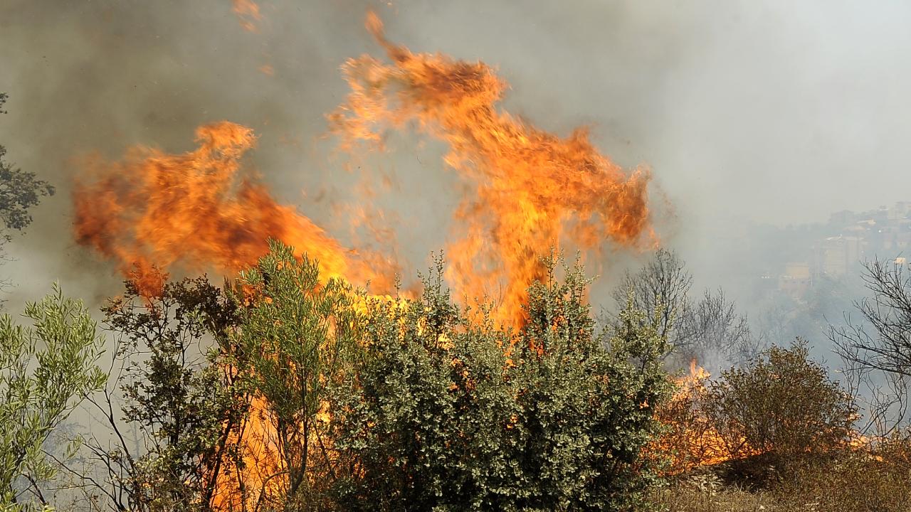 Cezayir’de son 24 saatte 37 orman yangını söndürüldü