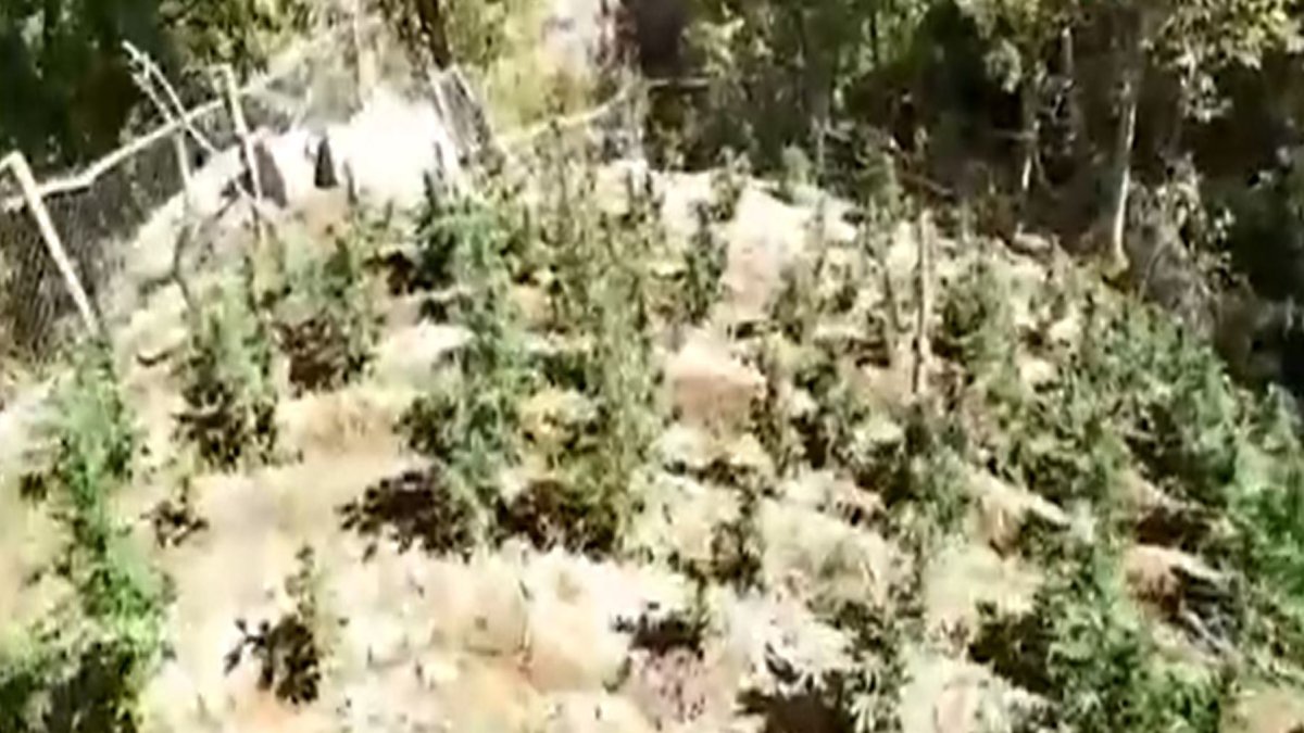 Bingöl’de düzenlenen operasyonlarda 6 arazide uyuşturucu madde ele geçirildi