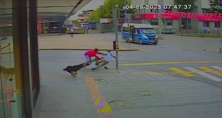 Sokak köpeğinin kovaladığı bisikletli yayaya çarptı