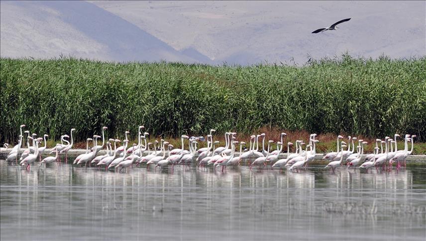 Eber Gölü'nün korunmasına belgesel desteği