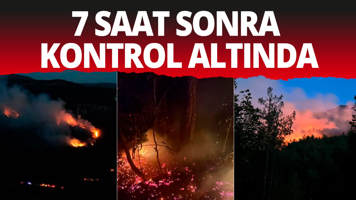 Karabük'teki orman yangını kontrol altında