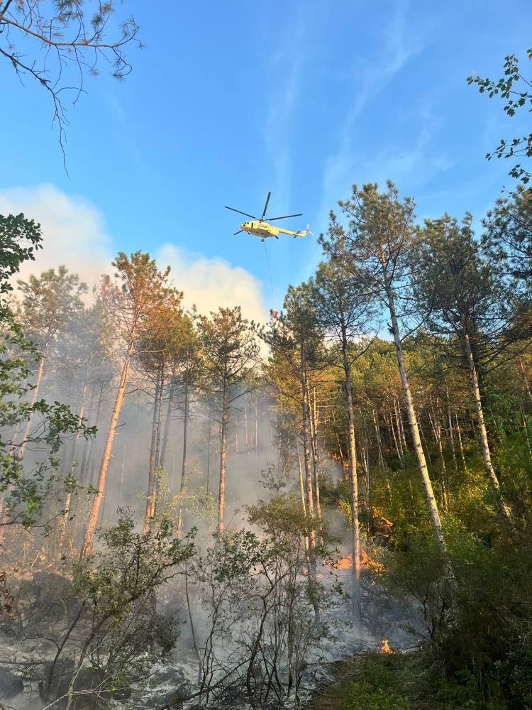 Karabük'teki orman yangını söndürüldü