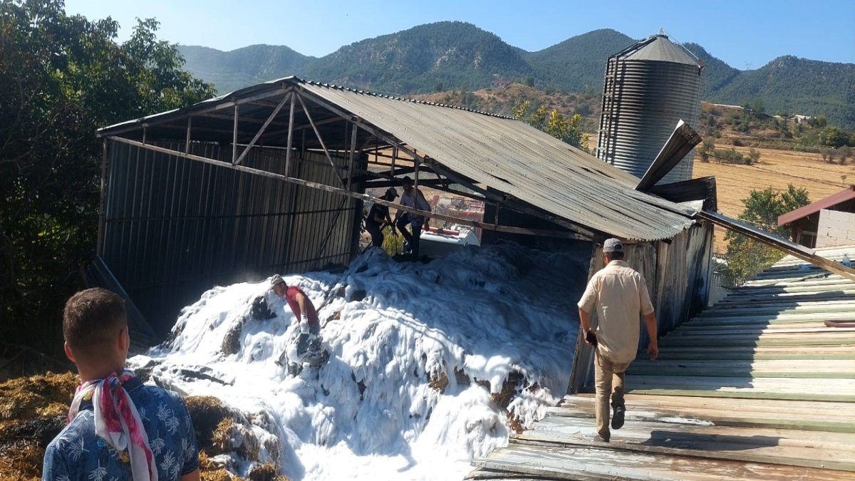Bolu'da samanlar alev alev yandı