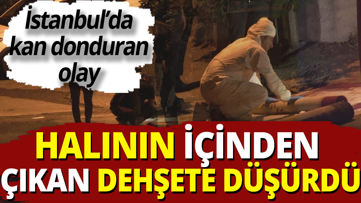 İstanbul’da kan donduran olay! Halının içinden çıkan dehşete düşürdü