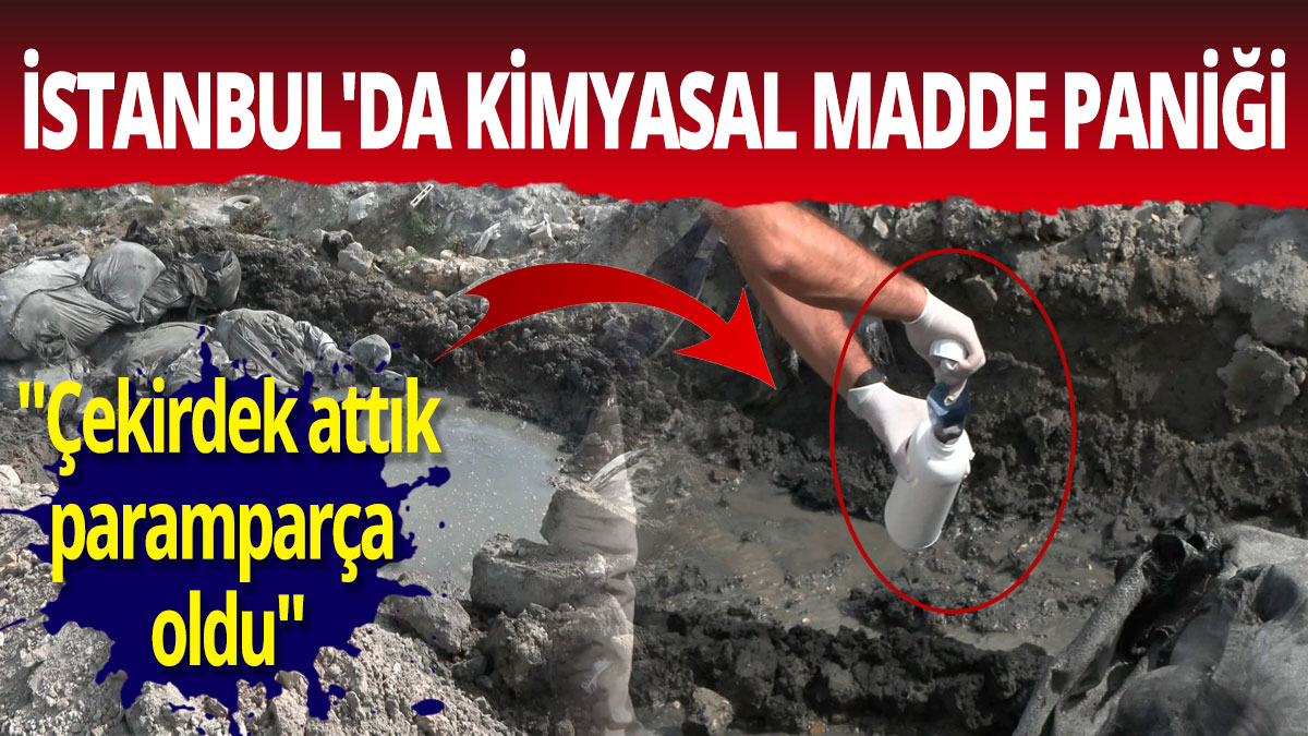 İstanbul'da kimyasal madde paniği: "Çekirdek attık paramparça oldu"