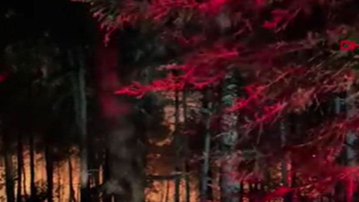 Kahramanmaraş'ta ormanlık alandaki yangın söndürüldü