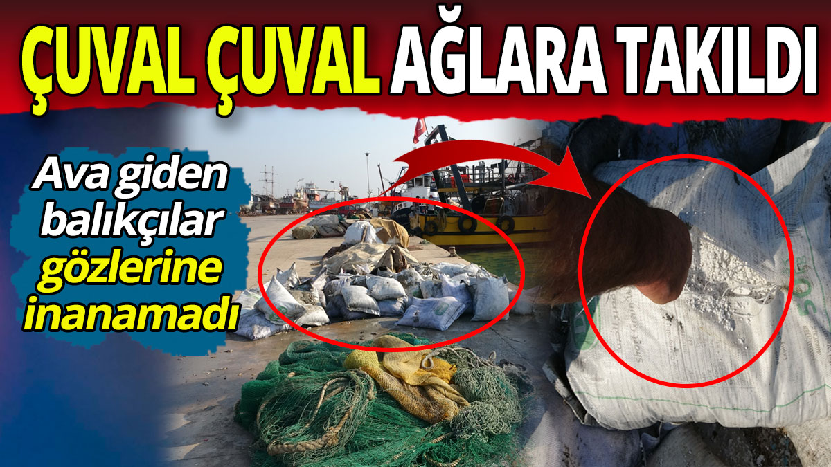 Çuval çuval ağlara takıldı: Ava giden balıkçılar gözlerine inanamadı