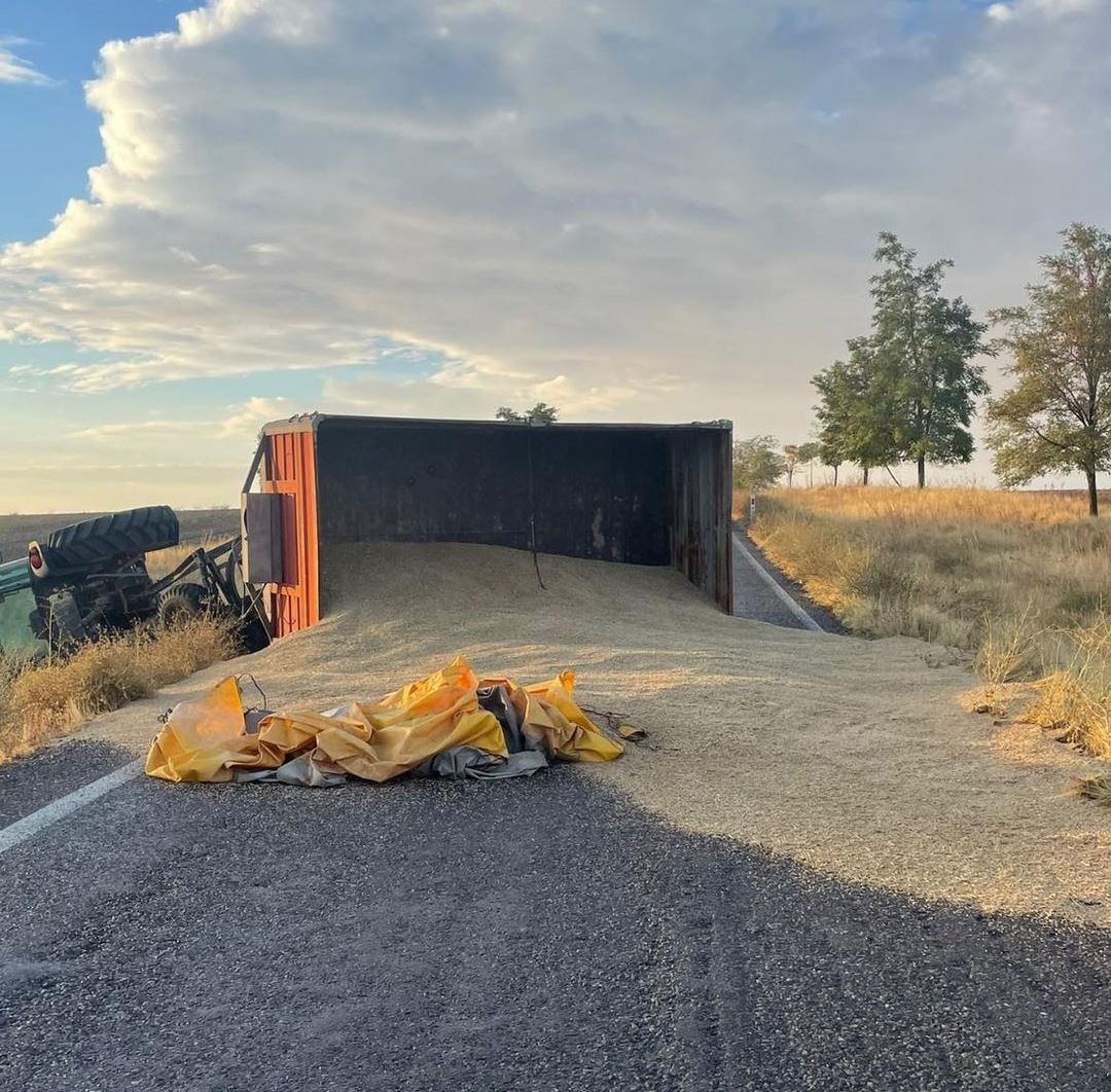 Traktör devrildi: Römorktaki arpalar yola saçıldı