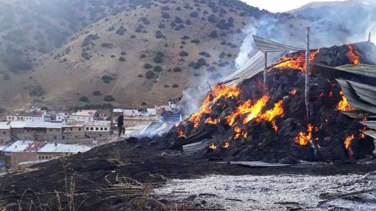 Köyde çıkan yangında 600 balya ot yandı