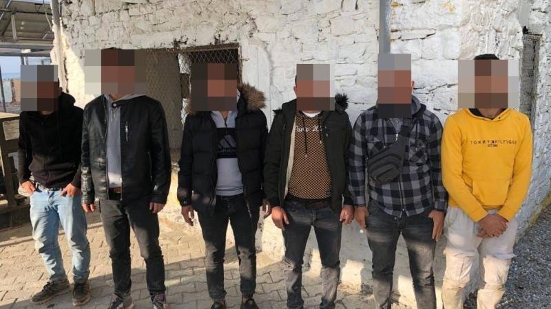 Pamuk tarlasında 25 kaçak göçmen yakalandı