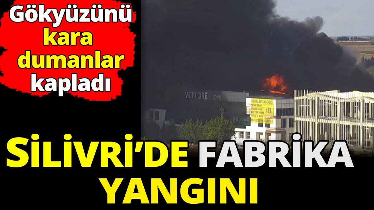 Silivri'de mobilya fabrikasının çatısında yangın çıktı
