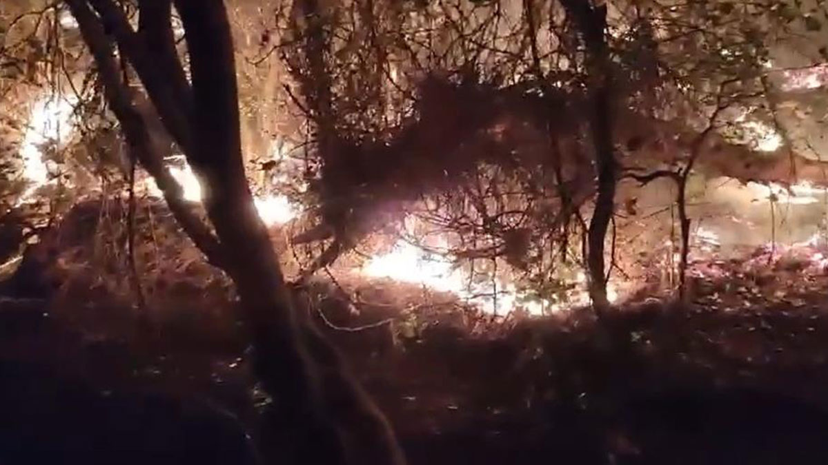 Marmaris'te düşen yıldırım orman yangını çıkardı