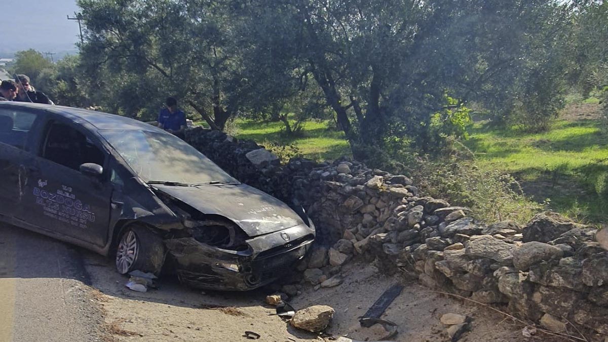 Bozdoğan'da sürücü kursu aracı kaza yaptı