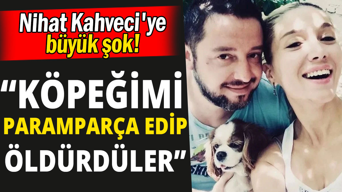 Nihat Kahveci'ye büyük şok: Köpeğimi paramparça edip öldürdüler