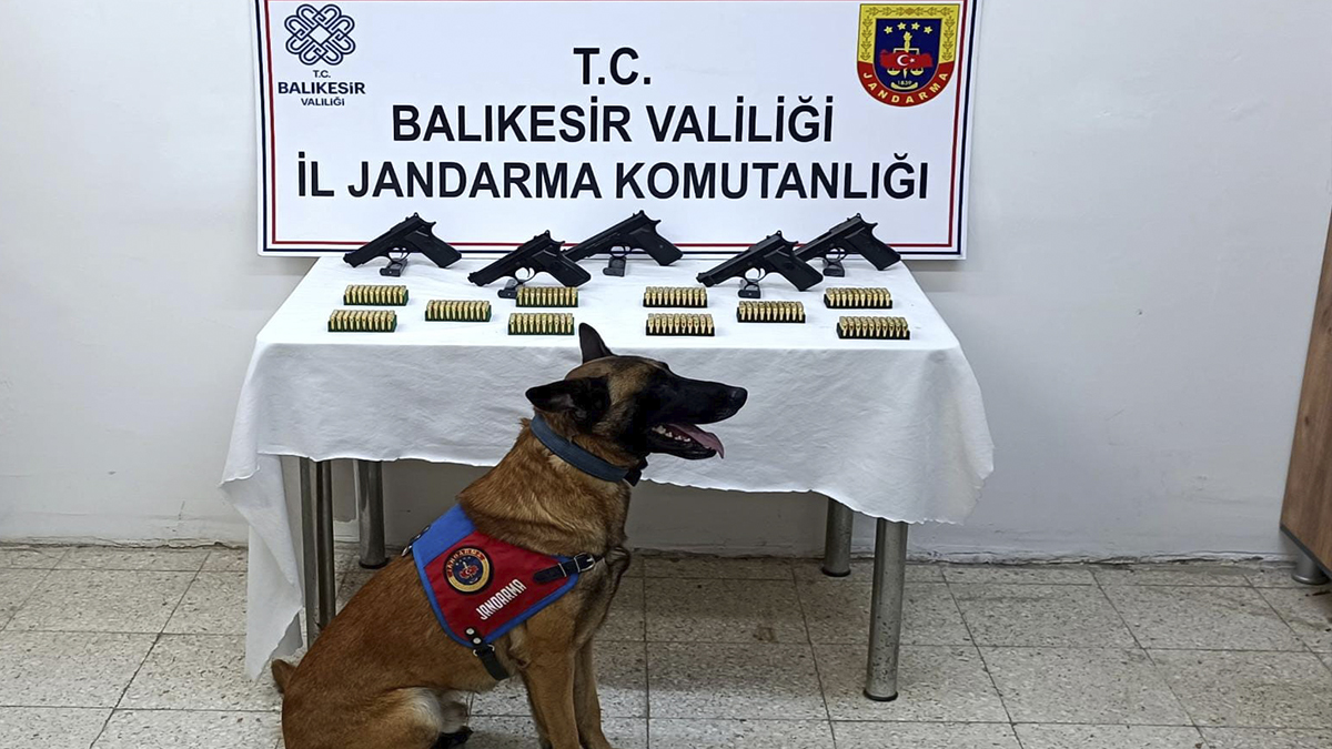 Bomba köpeği 'Vaha' kaçak silahları buldu